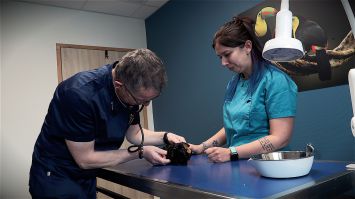 Dr Caron vétérinaire infini‘Vet Cobaye Le Mans
